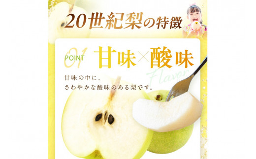 【先行予約／数量限定700】20世紀梨（訳あり） 5kg（10～16玉）（2026年8月下旬～発送）