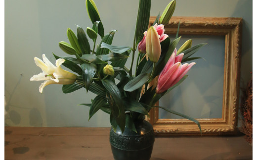 京丹後オリエンタルユリ　色お任せ5~6本（20～25輪）（2026年11月下旬～発送）　NG00012