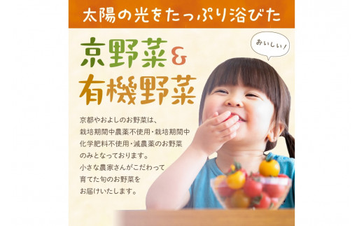 【定期便】合計12回お届け　有機野菜・京野菜の『京都やおよし』のお野菜詰め合わせ