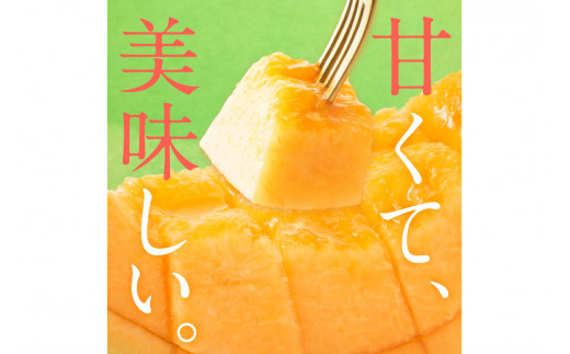 【先行予約／数量限定100】ゆめろんファームの赤肉メロン（2026年6月上旬～発送）