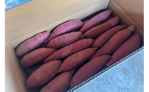 【先行予約／数量限定】京丹後産 土付き 紅はるか（さつまいも） 5kg（2026年11月上旬～発送）