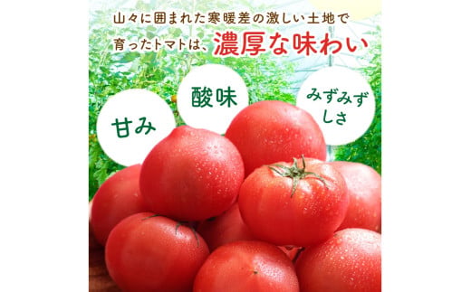 京䞹åŸç£ 倧çããã 1kgä»¥äž æ¥å€çºéïŒ2026幎5æäžæ¬ïœçºéïŒ ããã 倧ç 倧çããã ãµãããšçŽçš éè ãéè 1kg éè 京éè çç£è
å¿æŽ èŸ²å®¶å¿æŽ éæç¡æ