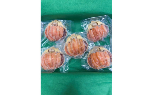 セイコガニ甲羅盛Mサイズ　5個セット　