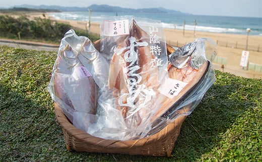 丹水こだわりおまかせ干物セット（さばと季節の干物2～3種）