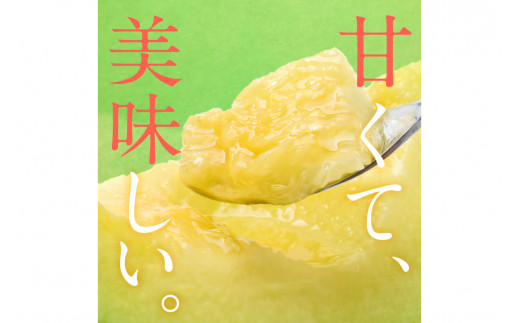 【先行予約／数量限定100】ゆめろんファームの青肉メロン（2026年6月上旬～発送）