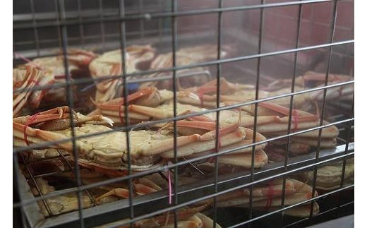 かに卸問屋がお届け・自社釜ゆで！幻のゆで間人ガニ 1ｋｇ～1.1ｋｇ超 特大サイズ（1月～3月発送）／北畿水産