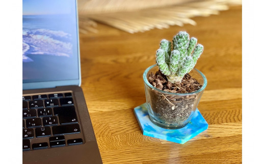 Precious Plastic コースター4枚セット(黄)