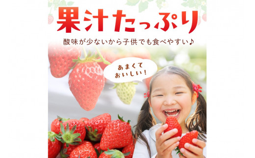 ãå
è¡äºçŽïŒæ°ééå®300ã京éœã»ãŸã€ã¿ããã¡ãŒã ã®ãã¡ãïŒããã²ãã€ããŽïŒ2ããã¯ïŒ2026幎3æäžæ¬ïœçºéïŒ