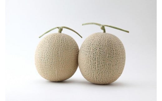 【先行予約】みんな大好き甘～ぃ！京丹後砂丘めろん！ 3玉（2026年7月下旬～発送）
