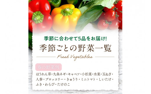 直売所直送 「京都・京丹後産 季節の野菜」お任せ詰め合わせBOX（5品） 春夏秋冬定期便4回 コシヒカリ精米 京野菜 季節 新鮮 ふるさと納税 野菜