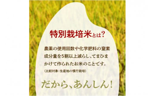 莉、蜥7蟷エ逕」 迚ケ蛻・譬ス蝓ケ邀ウ繧ウ繧キ繝偵き繝ェ 荳ケ蠕梧、ソシ井コャ荳ケ蠕梧」ョ譛ャ逕」シ 2kg