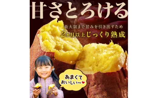 さつまいもオブザイヤー紅はるか部門全国1位 京都・ 丹後産　さつまいも 紅はるか　土付き（1本120～450g程度）3kg