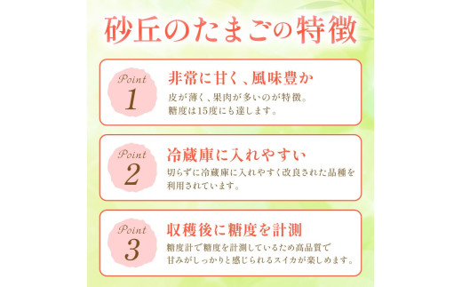 【先行予約／数量限定100】砂丘のたまご（小玉スイカ） 1玉（2026年6月中旬～発送）