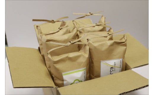 令和7年産 京丹後・野間産　田渕さんちのおいしいお米 個包装 2合×6袋入