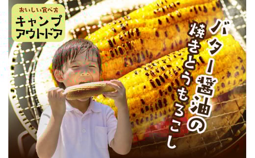 【先行予約】 生食も！高糖度！もぎたて！ フルーツトウモロコシ「イエローコーン」（2026年6月下旬～発送）