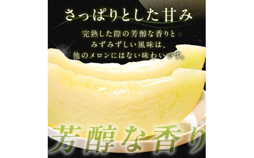 【先行予約／数量限定200】幻のメロン 新芳露 2玉（2026年7月中旬～発送）