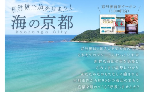 【京丹後市観光公社】京丹後宿泊クーポン　3,000円券×1枚