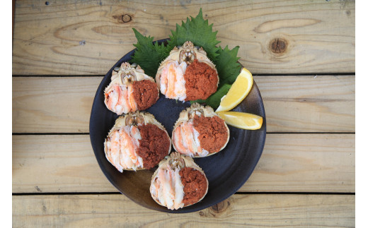 セイコガニ甲羅盛Sサイズ　5個セット