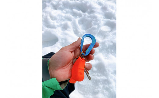 Precious Plastic カラビナキーホルダー ペアセット