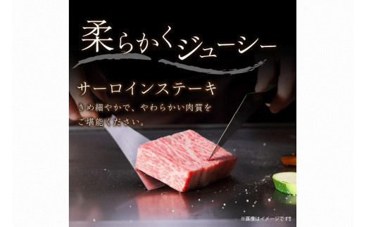 莠ャ驛ス逕」蜥檎央繧オ繝シ繝ュ繧、繝ウ繧ケ繝繝シ繧ュシ育エ200ステ4譫夲シ峨サ繝ュ繝シ繧ケシ育エ700スシ峨☆縺咲┥縺咲畑シ莠ャ驛ス逕」蜥檎央繝舌Λ シ育エ700スシ臥┥閧臥畑繧サ繝繝 縲蝉コャ驛ス繝「繝ェ繧ソ螻句ーら畑迚ァ蝣エ縲