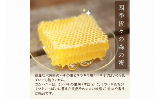 KYOTOTANGOHONEY森の百花蜜純粋天然ハチミツ（巣蜜入り純粋天然ハチミツ１５０ｇ、純粋天然ハチミツ１５０ｇセット）　蜂蜜・はちみつ・国産・天然・ハチミツ・巣みつ・巣密・純粋はちみつ
