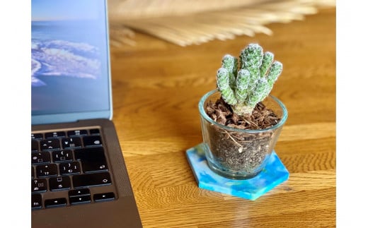 Precious Plastic ã³ãŒã¹ã¿ãŒ4æã»ãã(é)