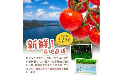 【先行予約】訳あり 宝石のような輝き！カラフルミニトマト 約1.5kg（秋冬）（2026年10月上旬～発送）