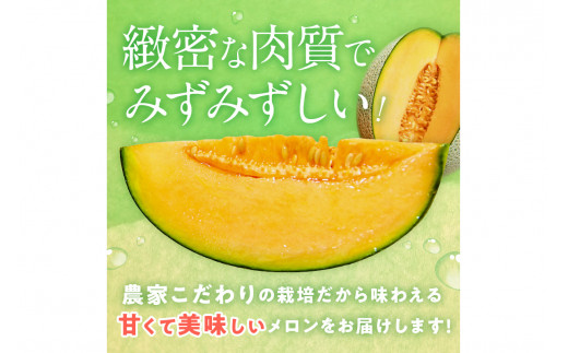 【先行予約／数量限定100】ゆめろんファームの赤肉メロン（2026年6月上旬～発送）