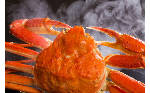 【先行予約】【厳選！タグ付きブランド蟹】茹で松葉かに（600g級×2杯）（2026年1月～発送）