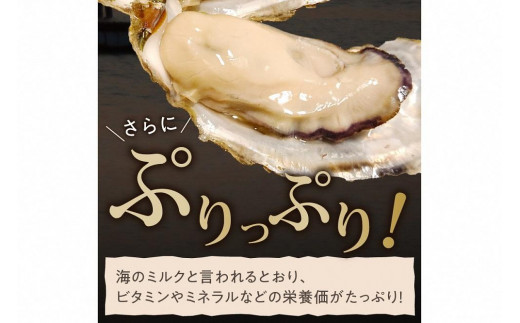 京都・久美浜産　殻付き牡蠣　4kg（40個前後）【加熱用】牡蠣ナイフ付　人気 国産 正規品 大粒 肉厚 養殖牡蠣 牡蠣 牡蛎 かき 海鮮 貝 海のミルク 殻付き