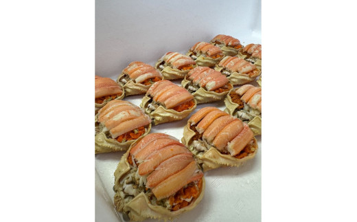 セイコガニ甲羅盛Mサイズ　3個セット　