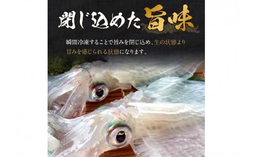 【先行予約】京丹後産　『海の京都』の逸品！！　活白イカ姿造り（クリスタル白いか）1人前サイズ2杯（150g前後）（2026年6月上旬～発送）