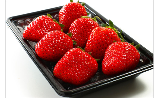 【数量限定】京都丹後産 完熟いちご（かおりの） 2パック（2026年3月中旬～発送）  農家直送 イチゴ 苺 期間限定 フルーツ くだもの 果物 ストロベリー