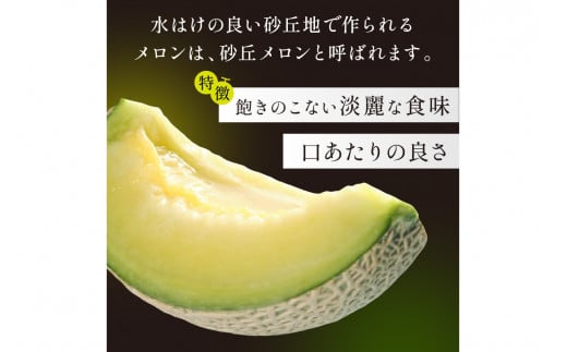 【先行予約／数量限定450】京丹後産 砂丘メロン 大玉2L以上 2玉（2026年7月下旬～発送）