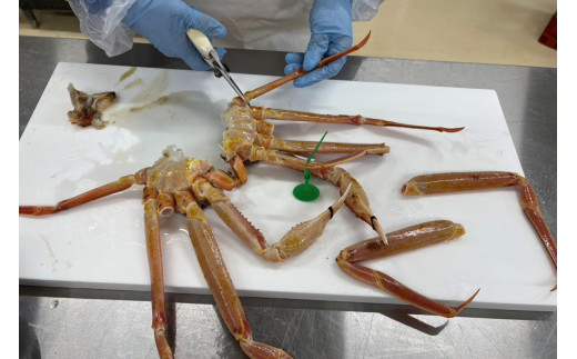 蟹しゃぶセット（本ズワイガニ900g～1kg×1杯分／蟹味噌付き・カニだし付き）