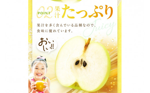 【先行予約／数量限定700】20世紀梨（訳あり） 5kg（10～16玉）（2026年8月下旬～発送）