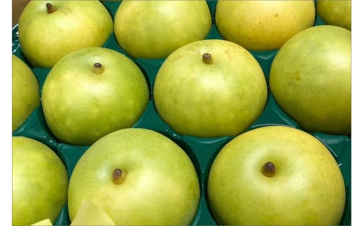 【先行予約】京丹後の梨ジュース 小瓶3本入り（2025年10月下旬～発送）