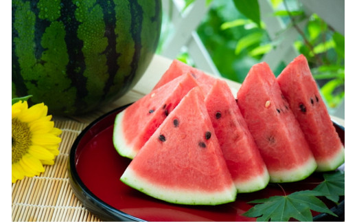 【先行予約】朝どれ小玉スイカ／みんな大好き！甘～ぃ！シャリ美味！！京丹後産 小玉スイカ！！2玉（ひとりじめ、姫甘泉、ひめまくら、砂丘たまごから1種類）（2026年7月上旬～発送）スイカ2玉