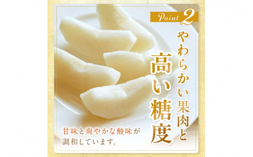 【先行予約／数量限定150】京丹後産 新興梨 5kg（8～14玉入り）（2026年10月中旬～発送）