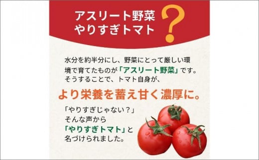 【先行予約】やりすぎトマト（4パック計約1kg）（夏季）（2026年6月上旬以降発送）