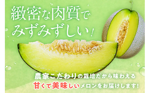 ãå
è¡äºçŽïŒæ°ééå®100ããããããã¡ãŒã ã®éèã¡ãã³ïŒèš³ããåïŒïŒ2026幎6æäžæ¬ïœçºéïŒ