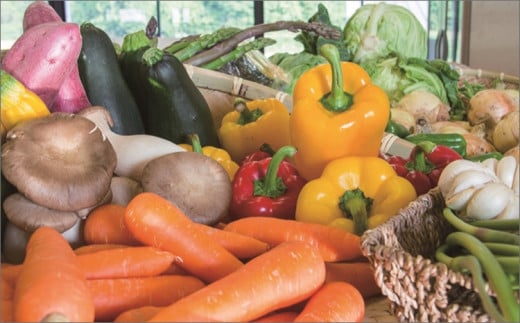 京䞹åŸç£ã»æ¬ã®éè 5ïœ8皮詰ãåããïŒå°ïŒ