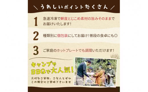 【先行予約】大満足！京丹後・海鮮BBQ　Cセット　贅沢生ズワイガニ付き　4種11品（3～4人前）（2026年4月中旬～発送）　YK00554