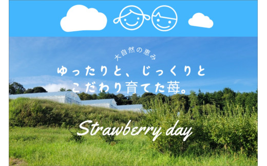【先行予約】2026年産 京都 蜜いちご（あきひめ）（大サイズ（9粒または11粒）×2パック）約450g（2026年1月上旬～発送）