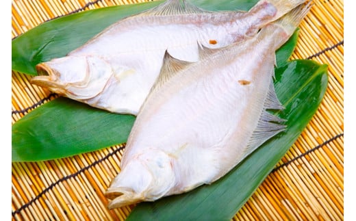 【店主一押し！絶品干物！高リピート！】エテカレイ一夜干し　中サイズ（朝食サイズ）12枚