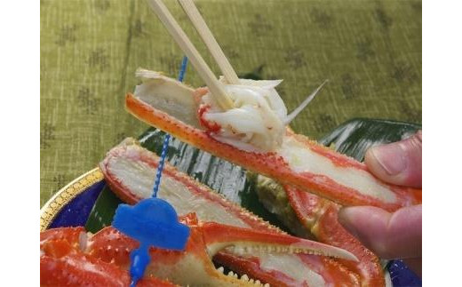 日本海産　ブランド蟹　茹で松葉蟹【訳あり】中大サイズmatubakani800 2匹入り