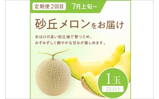 ãå
è¡äºçŽãéã®é§
ãããããããå€ã®ãã«ãŒãå®æäŸ¿ïœãããã»ã¡ãã³ïœ