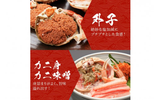 【期間エリア限定！訳あり】厳選！絶品！ 釜茹で セイコ蟹3杯 魚介 魚貝類 訳あり せいこがに ズワイガニ 濃厚 ふるさと納税 カニ わけあり 訳有り ワケアリ