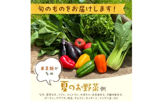 有機野菜・京野菜の『京都やおよし』のお野菜＆平飼玉子10個の詰め合わせ