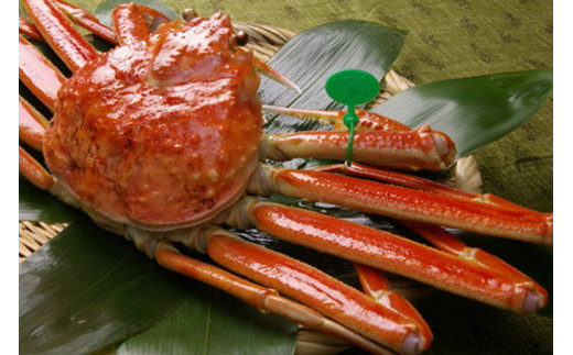 京丹後市産 茹で間人蟹 【厳選】 中大サイズ　taizakani800　2匹　間人がに 間人ガニ 間人蟹 たいざがに たいざガニ